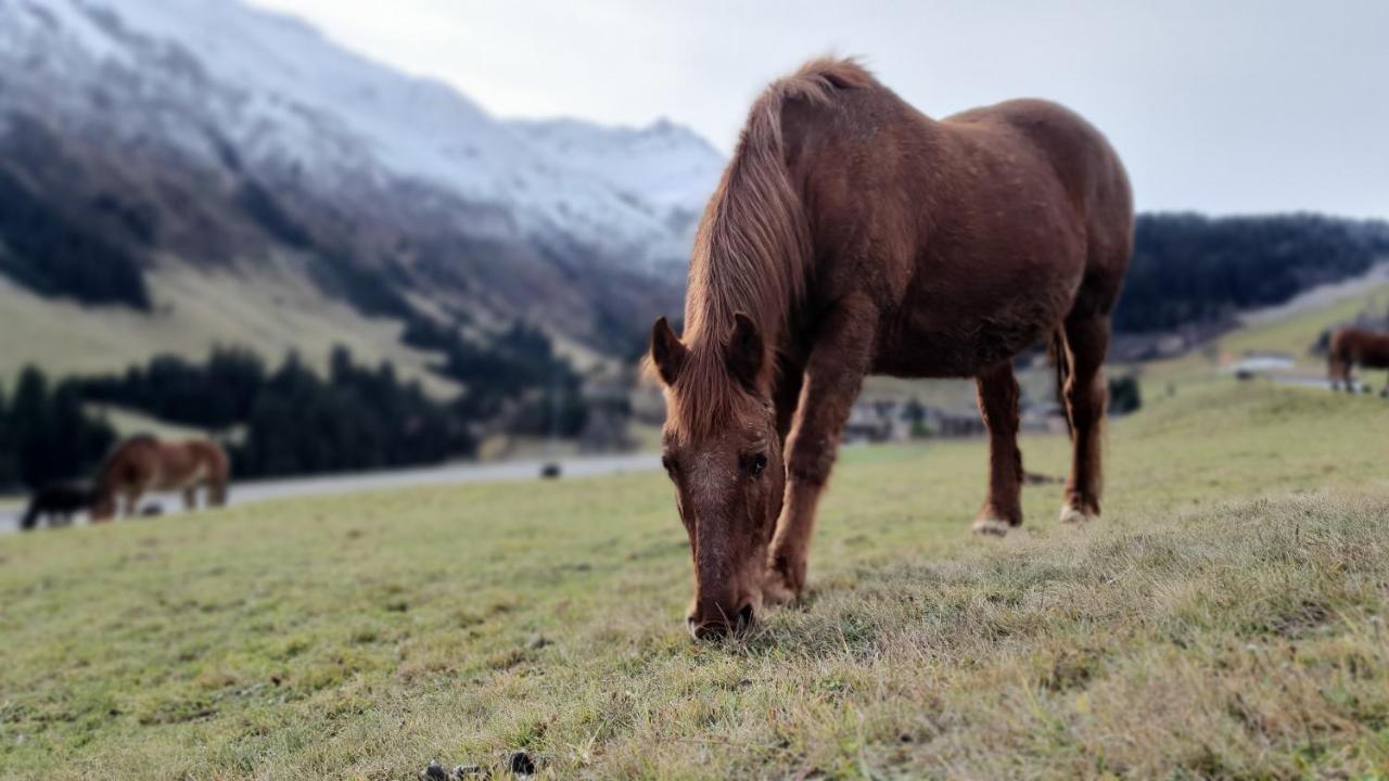 Yeti Lodge Sedrun Εξωτερικό φωτογραφία