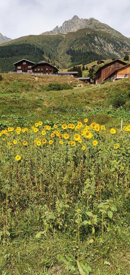 Yeti Lodge Sedrun Εξωτερικό φωτογραφία