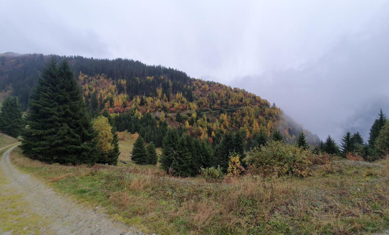 Yeti Lodge Sedrun Εξωτερικό φωτογραφία